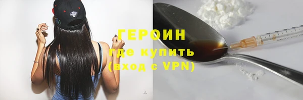 амф Тайга