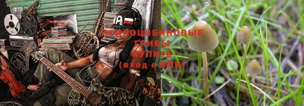 амфетамин Белокуриха