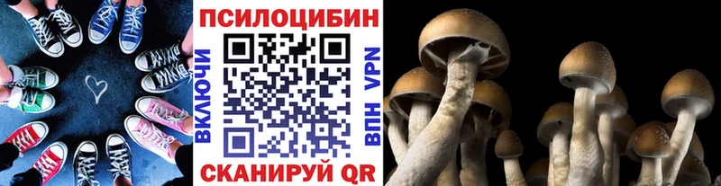 Галлюциногенные грибы мицелий  даркнет сайт  Невель 