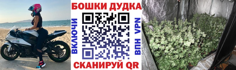 где найти наркотики  Невель  Каннабис план 
